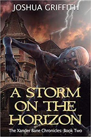 Cover for A Storm on the Horizon