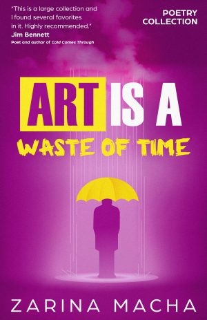 Cover for Art is a Waste of Time