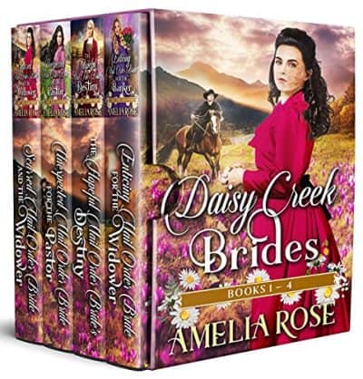Cover for Daisy Creek Brides Boxed Set