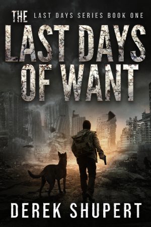 Cover for The Last Days of Want