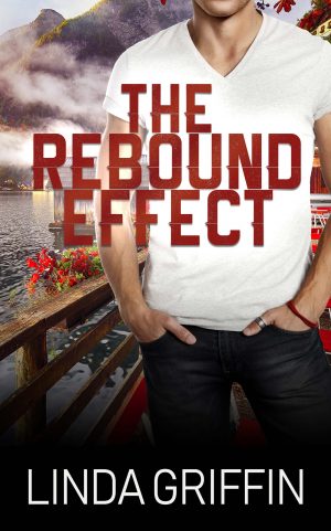 Cover for The Rebound Effect