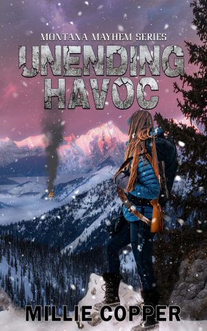 Cover for Unending Havoc