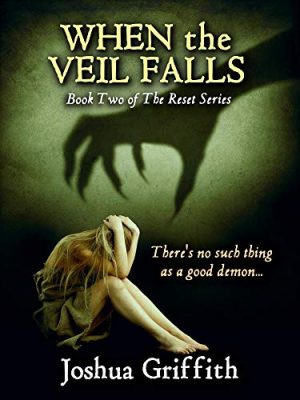 Cover for When the Veil Falls