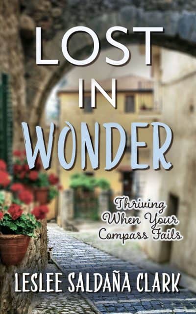 Cover for Lost in Wonder
