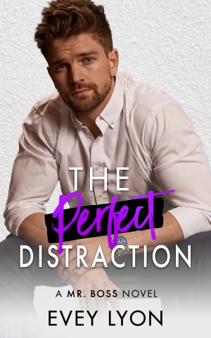 Cover for The Perfect Distraction