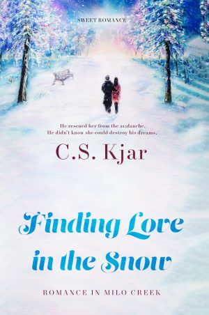Cover for Finding Love in the Snow