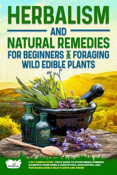 Cover for Herbalism and Natural Remedies for Beginners & Foraging Wild Edible Plants