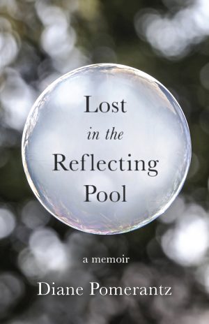Cover for Lost in the Reflecting Pool