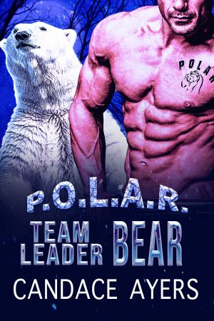 Cover for Team Leader Bear