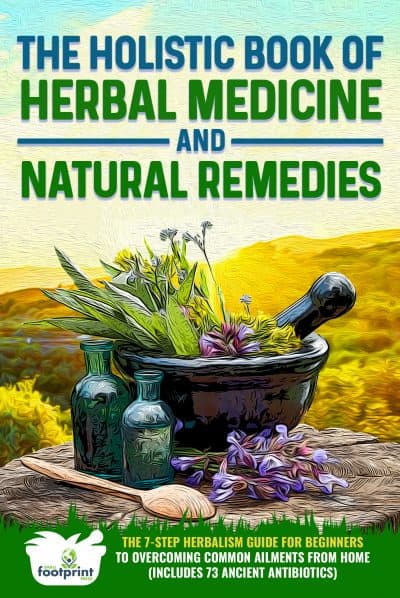 Cover for The Holistic Book of Herbal Medicine & Natural Remedies