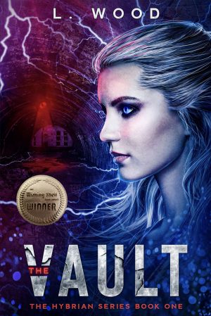 Cover for The Vault