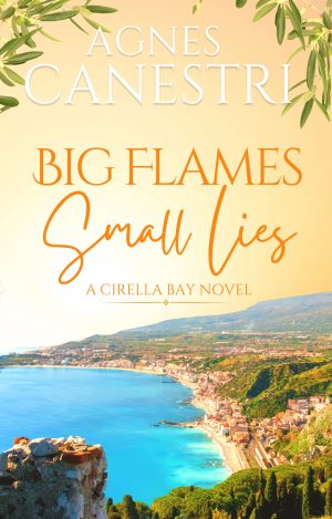 Cover for Big Flames & Small Lies