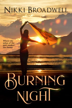 Cover for Burning Night