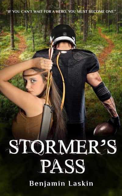 Cover for Stormer’s Pass