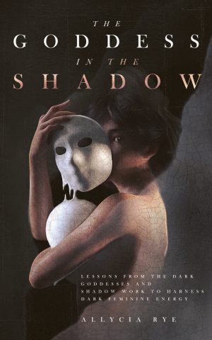 Cover for The Goddess in the Shadow