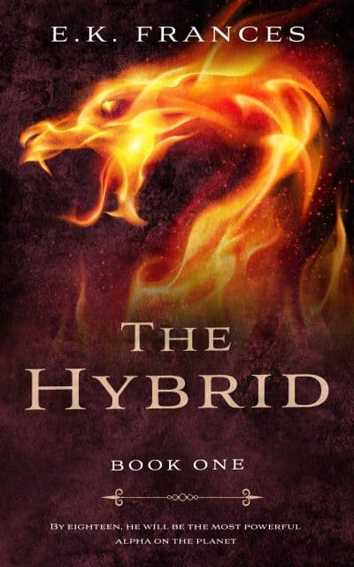 Cover for The Hybrid