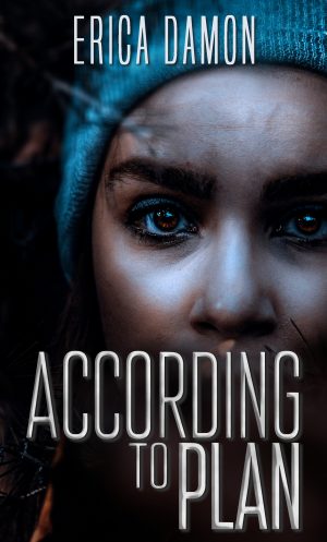 Cover for According to Plan: A Psychological Suspense Thriller