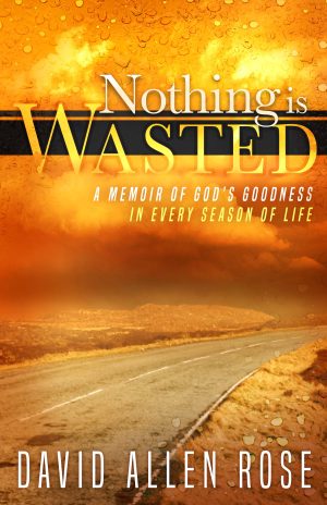 Cover for Nothing Is Wasted