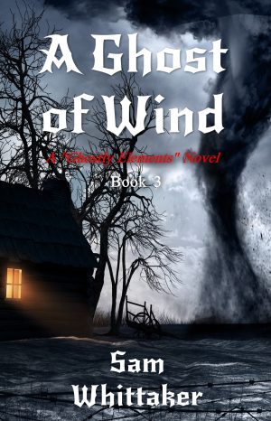 Cover for A Ghost of Wind