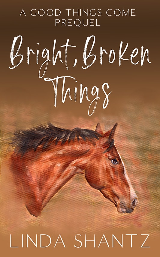 Cover for Bright, Broken Things: A Good Things Come Prequel