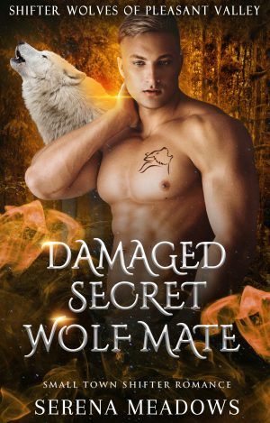 Cover for Damaged Secret Wolf Mate