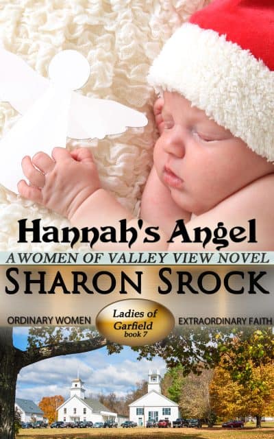 Cover for Hannah's Angel