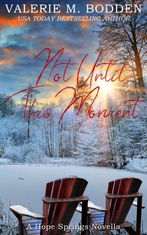 Cover for Not Until This Moment
