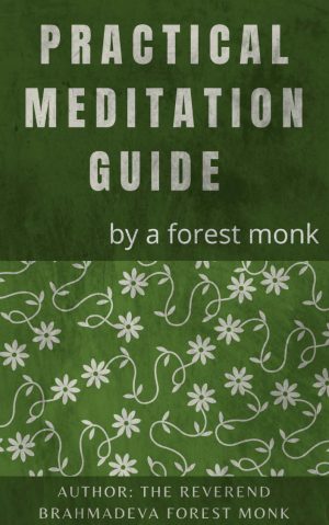 Cover for Practical Meditation Guide by a Forest Monk