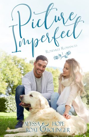 Cover for Picture Imperfect