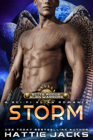 Cover for Storm