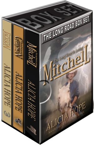Cover for The Long Road Box: Books 1-3
