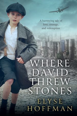 Cover for Where David Threw Stones