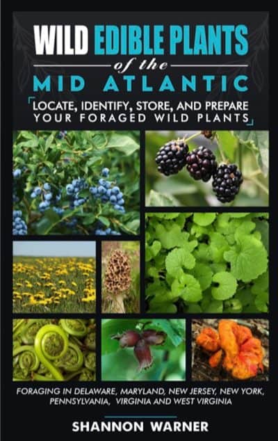 Cover for Wild Edible Plants of the Mid-Atlantic