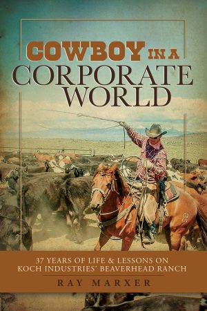 Cover for Cowboy in a Corporate World