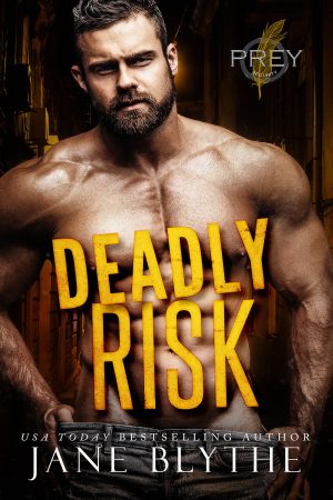 Cover for Deadly Risk