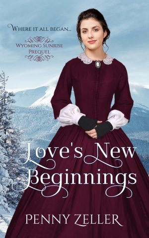 Cover for Love's New Beginnings