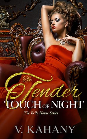 Cover for The Tender Touch of Night