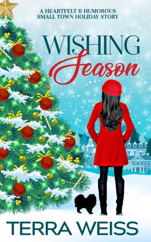 Cover for Wishing Season: A Small Town Holiday Story