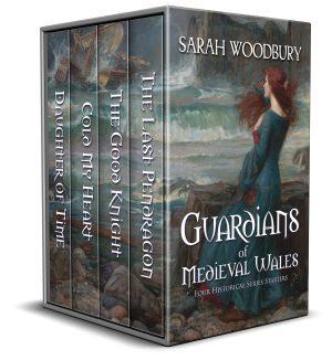 Cover for Guardians of Medieval Wales
