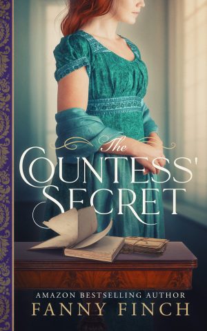 Cover for The Countess' Secret