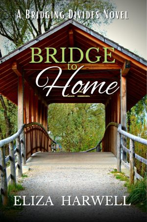 Cover for Bridge to Home