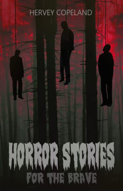 Cover for Horror Stories for the Brave