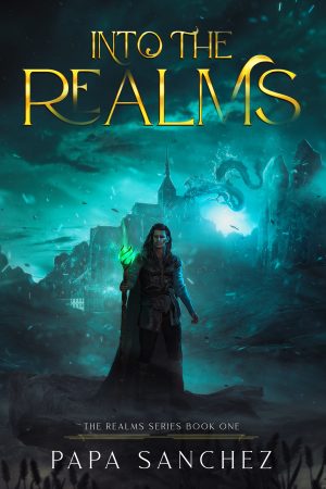 Cover for Into the Realms