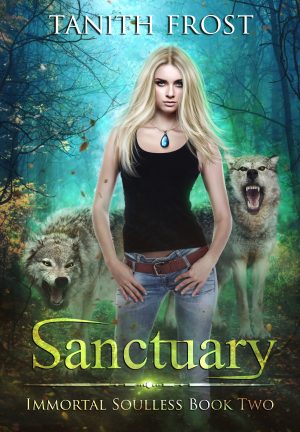 Cover for Sanctuary