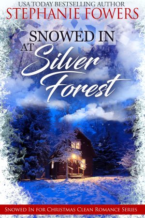 Cover for Snowed in at Silver Forest