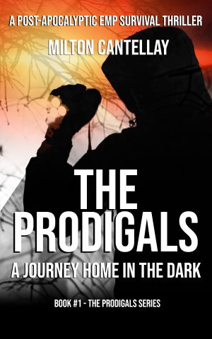 Cover for The Prodigals - A Journey Home in the Dark