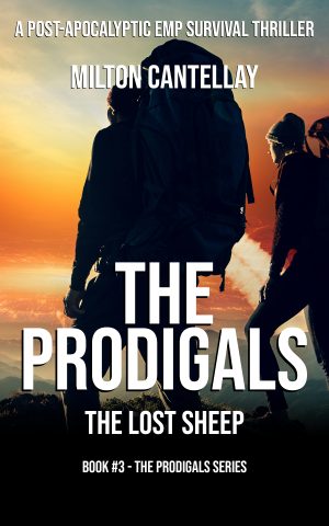 Cover for The Prodigals - The Lost Sheep