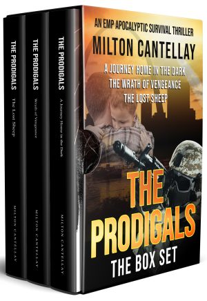 Cover for The Prodigals