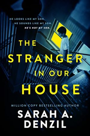 Cover for The Stranger in Our House