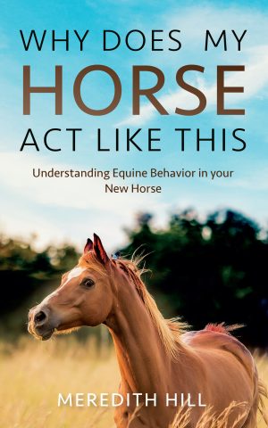 Cover for Why Does My Horse Act Like This? Understanding Equine Behavior in Your New Horse